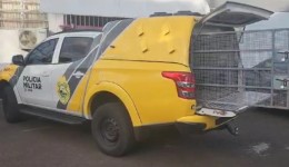 Homem de 60 anos é preso após furtar tijolos em construção