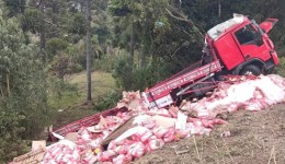 Saída de pista seguida de capotamento é registrada em Santa Catarina