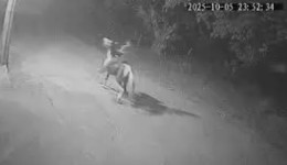 Caminhoneiro morto no Rio foi perseguido por homens a cavalo antes do crime