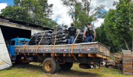 PF prende estrangeiro por contrabando de cera de abelha na fronteira com a Argentina