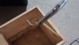 Bombeiros capturam jararaca encontrada em residência