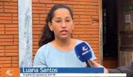 IDR Paraná promove eventos técnicos sobre cultivo de morango e bioinsumos