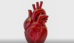 Brasil registra uma morte por doença cardiovascular a cada 72 segundos
