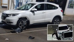 Cachorro é flagrado danificando veículo durante a madrugada