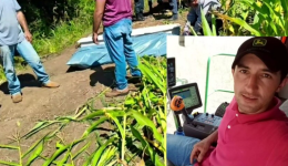 Agricultor morre após ataque de javali em propriedade rural no MS