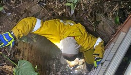 Bombeiros resgatam cachorro que caiu em poço de quatro metros