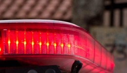 Ossada humana é encontrada às margens da BR-282 no Oeste