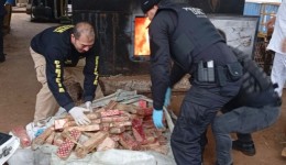 Polícia Civil incinera 785 kg de drogas