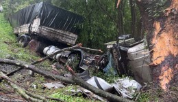 Caminhão sai da pista, colide com árvore e tomba na BR-163