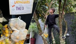 Criança distribui laranjas a vizinhos e transforma gesto simples em lição de gentileza em Ponte Serrada