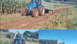 Programa Municipal de subsídio na silagem benéfica produtores de leite