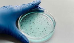 Anticoncepcional masculino injetável pode chegar ao mercado até 2028