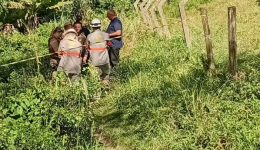 Pai e filha morrem eletrocutados em trilha de Santa Catarina após contato com fio caído