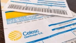 Celesc se manifesta sobre notificação do Procon/SC