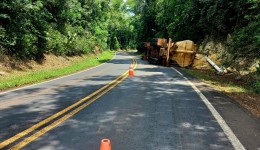 Carreta carregada com ração tomba em curva na PR-281
