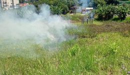 Bombeiros controlam incêndio em vegetação