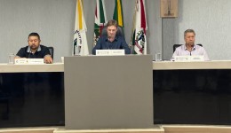 Vereadores aprovam projetos sobre cabos de energia e criação de feirinha