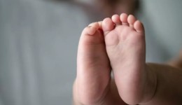Mais de 10 bebês recém-nascidos recebem antídoto para cobra por engano em hospital de SC