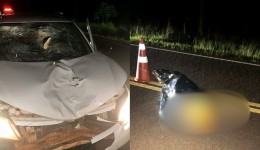 Atropelamento com vítima fatal é registrado na PR-484