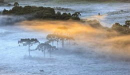 Frio intenso pinta a Serra catarinense de branco com temperaturas negativas