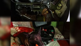 Polícia Civil cumpre mandado e apreende armas de fogo