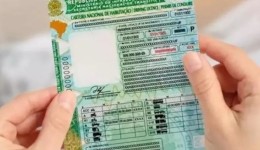 Mudanças na CNH de SC: Detran define novas regras para emissão e foto oficial