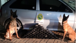 apreende 54kg de maconha e prende jovem de 23 anos