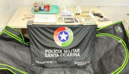 Polícia encontra estufa com cultivo de maconha em residência