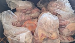 Vigilância Sanitária apreende 680 kg de alimentos impróprios em estabelecimento no Oeste de SC