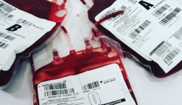 Hemosc lança campanha “Projeto Empresa Solidária” para incentivar a doação de sangue