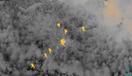 Câmera térmica da PMPR localiza suspeito com 215 kg de drogas
