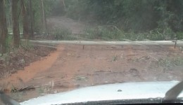 Temporal causa quedas de árvores e alagamentos
