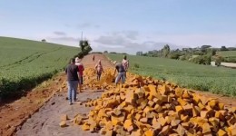 Calçamento na comunidade de sede marina avança e atende demanda histórica