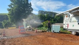 Cerca de 6 mil perus são abatidos após foco de Doença de Newcastle em granja