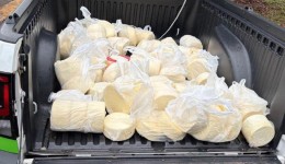 Fiscalização apreende carga de queijos transportados sem inspeção sanitária