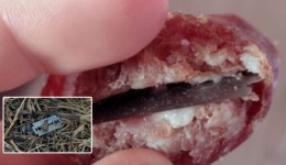 Lâminas escondidas em salame colocam animais em risco no Oeste de SC