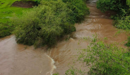 Princesa registra 267 milímetros de chuva em menos de 15 dias e enfrenta prejuízos no campo