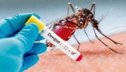 SC tem mais de 45 mil focos de dengue registrados em 258 municípios