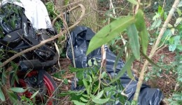 Motociclista morre após sair da pista e colidir contra árvores