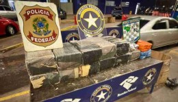 Receita Federal apreende mais de 220 kg de maconha na Ponte da Amizade