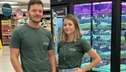 Casal  começou a plantar microverdes no quarto e hoje produz até 1.850 bandejas por semana, fatura R$ 50 mil e prepara expansão