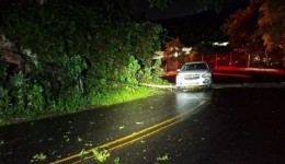 Motorista abandona carro após bater contra três postes