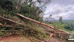 Imagens mostram destruição após forte temporal