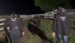 Grupo especializado em furto de gado é alvo de operação e causa prejuízo de R$ 10 milhões
