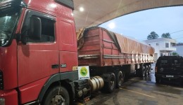 BPFRON apreende carreta carregada com oliveiras em passo clandestino