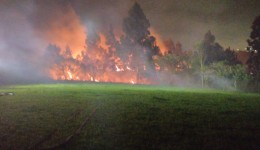 Incêndio em grande área de vegetação mobiliza bombeiros por cerca de 3 horas
