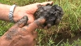 Produtores do Paraná vivem há 14 anos sob incerteza se moram em propriedade com petróleo