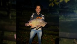 Impressionante: tilápia de mais de 7 kg é capturada e viraliza entre amigos