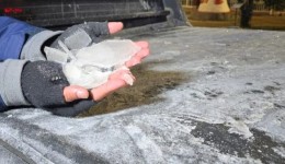 Santa Catarina amanhece com temperaturas negativas e sensação térmica de -25ºC