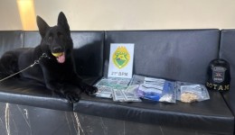 Polícia Militar prende homem por tráfico de drogas